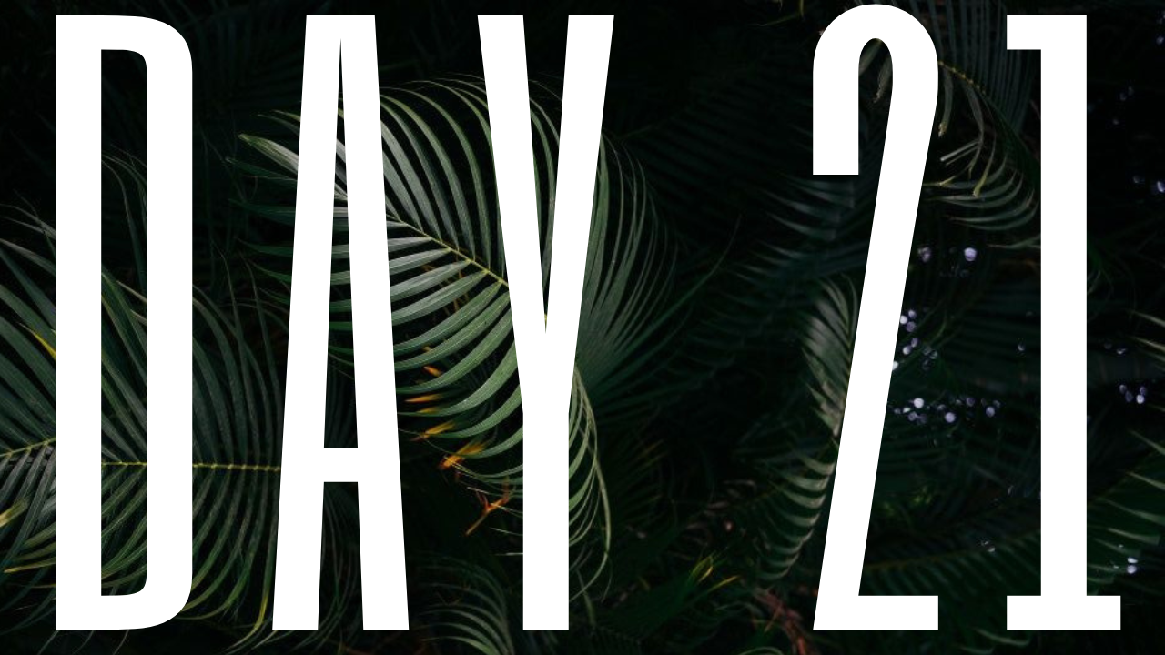 DAY 21