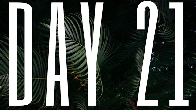 DAY 21