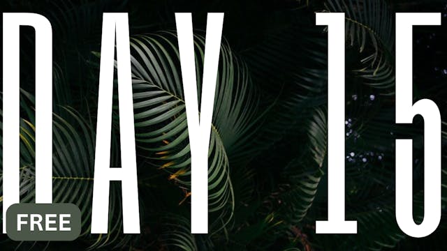 DAY 15
