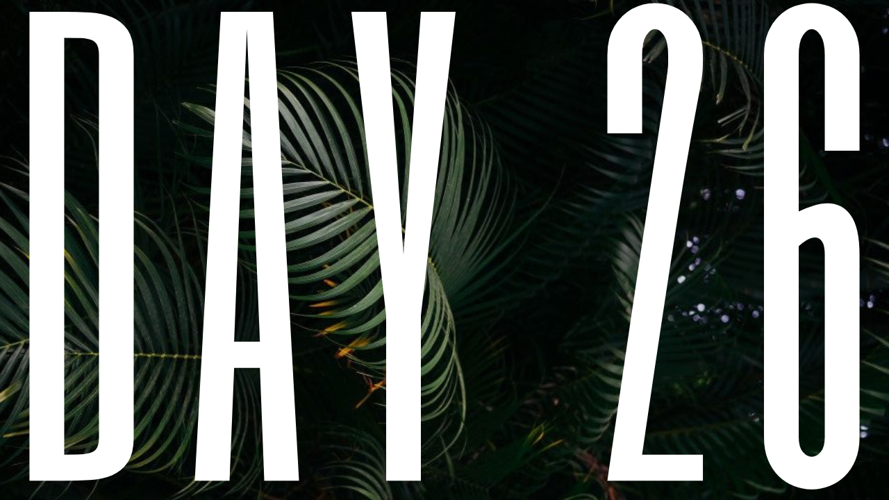 DAY 26