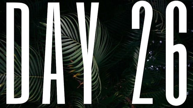 DAY 26