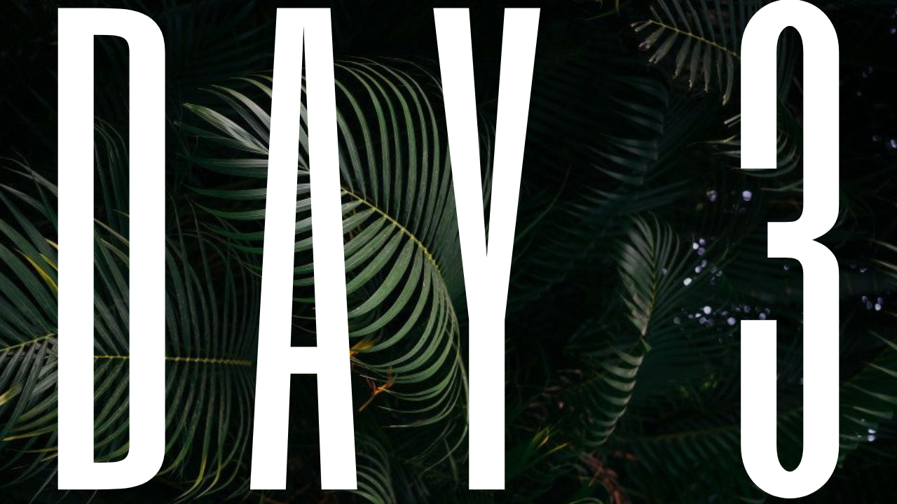 DAY 3