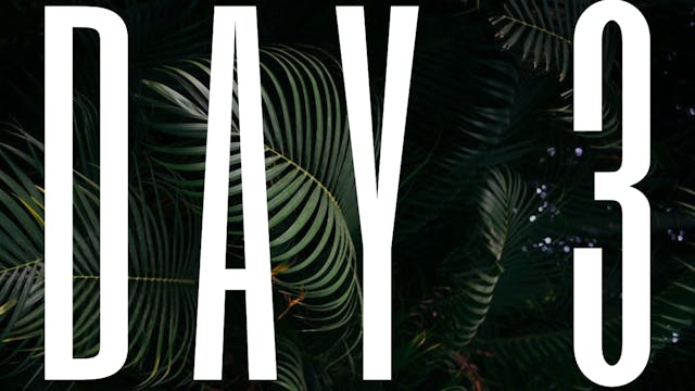 DAY 3