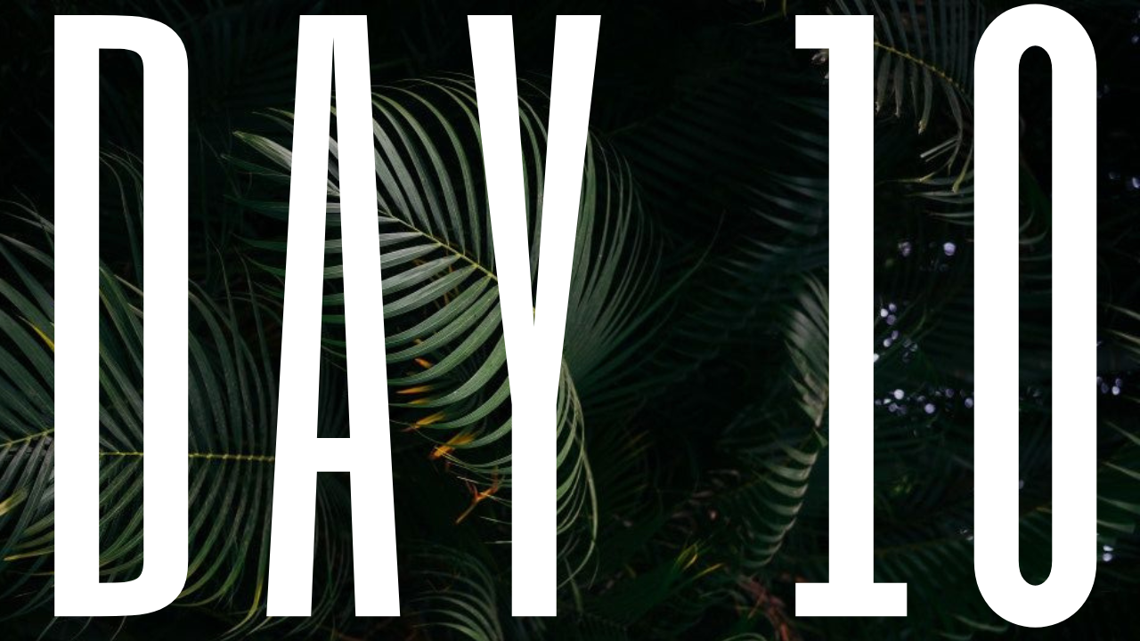 DAY 10