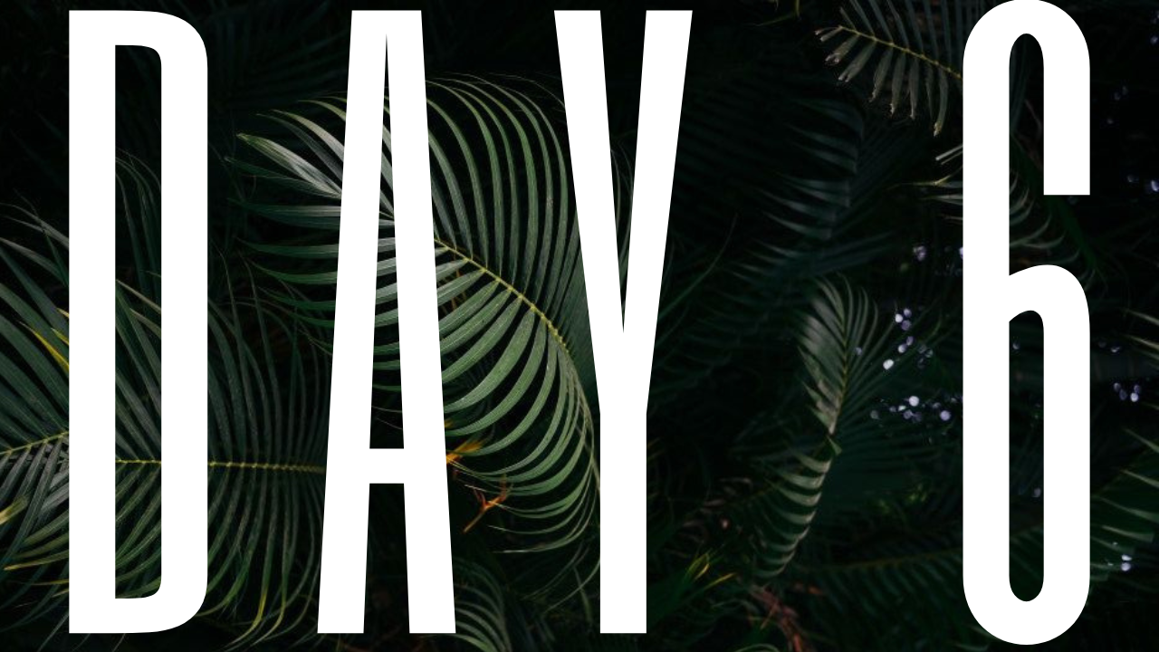 DAY 6 