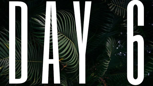 DAY 6 