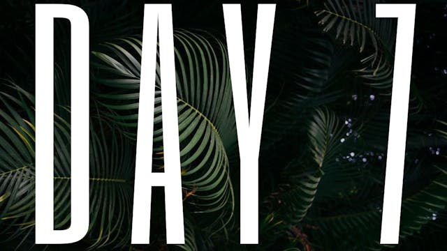 DAY 7