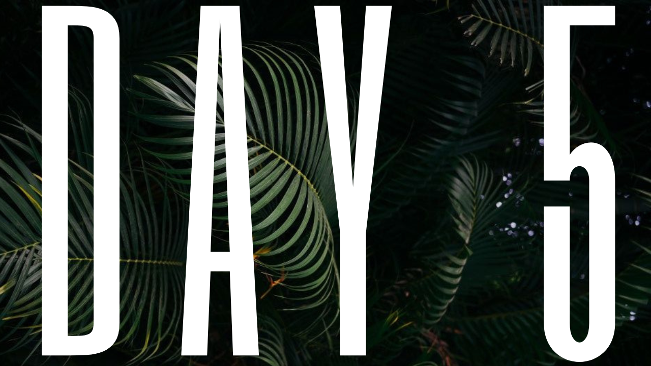 DAY 5