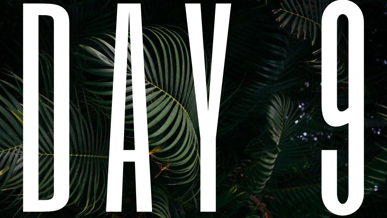 DAY 9 