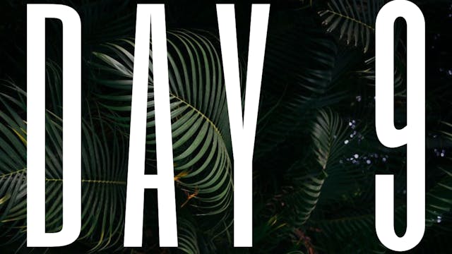 DAY 9 