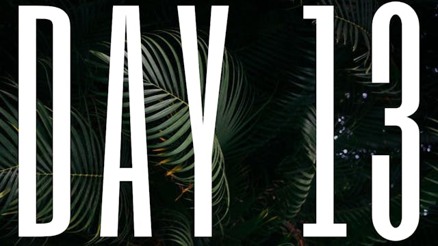 DAY 13