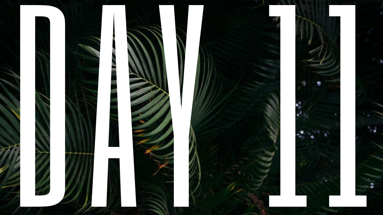 DAY 11
