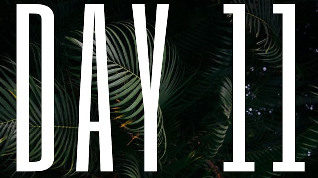 DAY 11