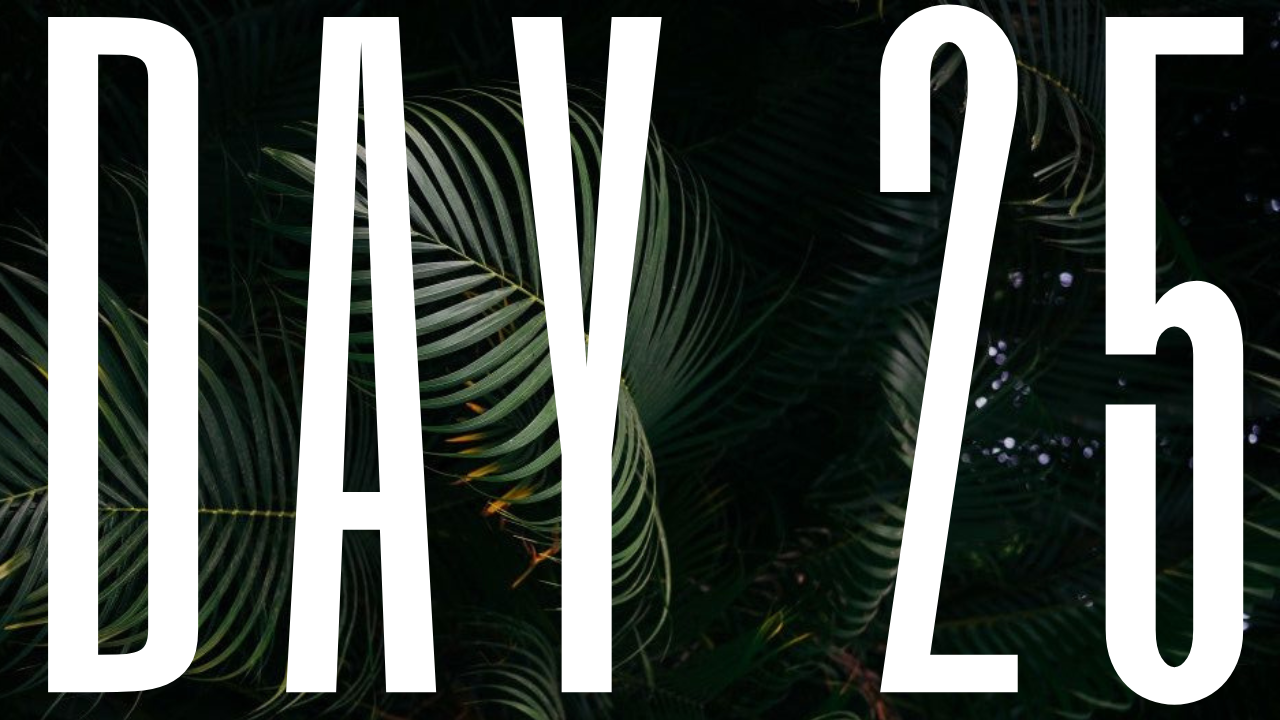 DAY 25