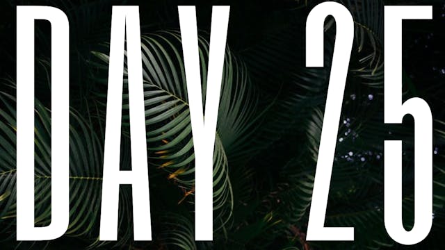DAY 25