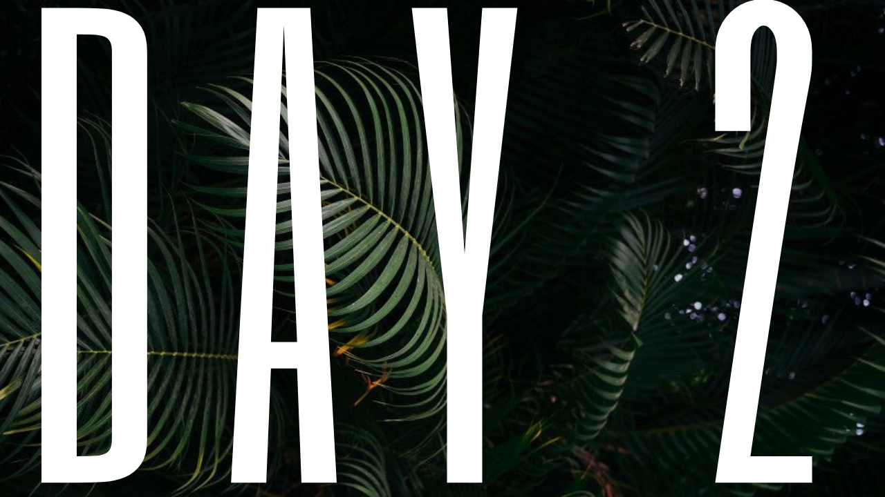 DAY 2 