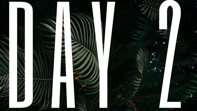 DAY 2 