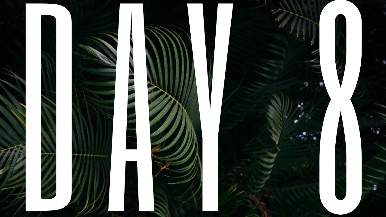 DAY 8