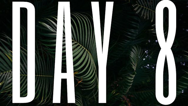 DAY 8
