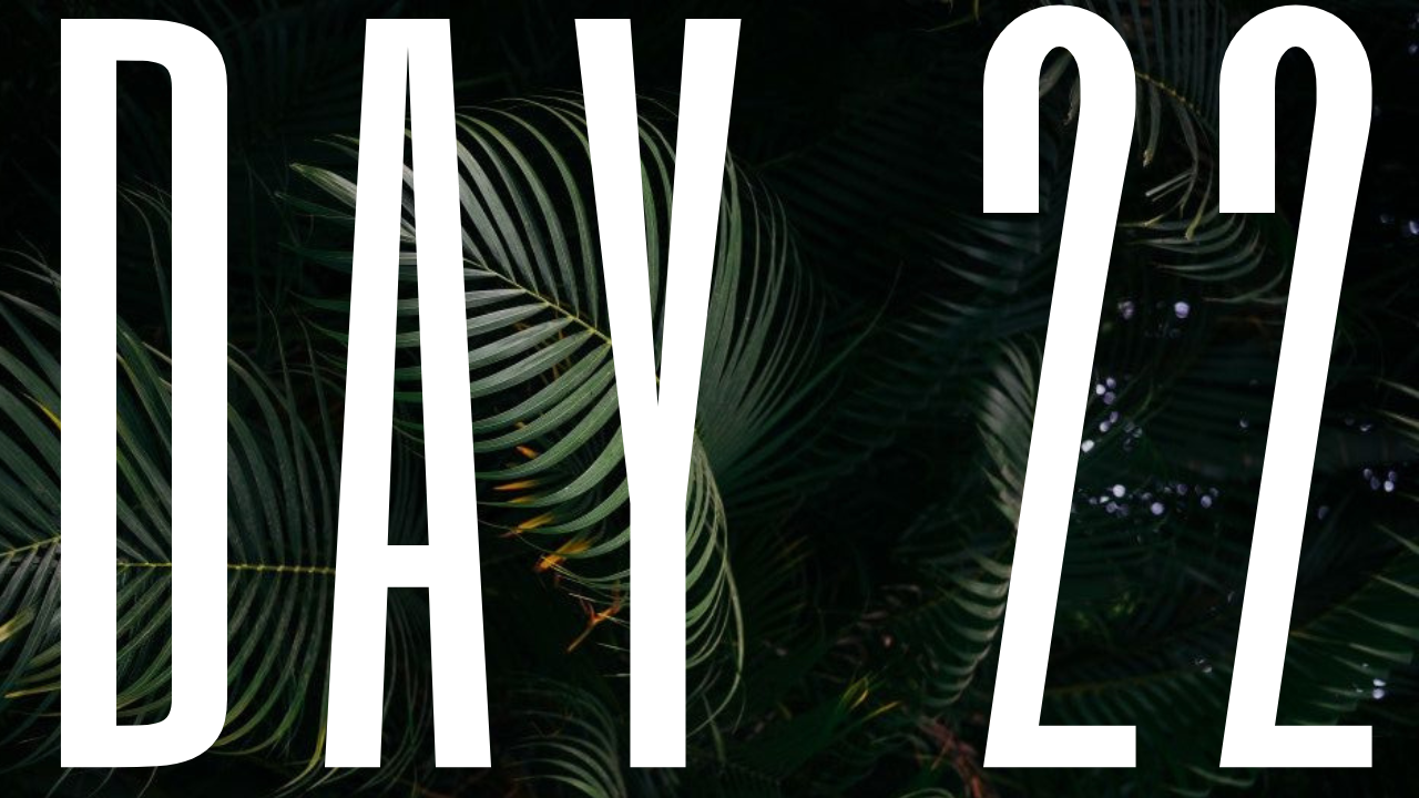 DAY 22