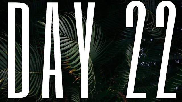 DAY 22