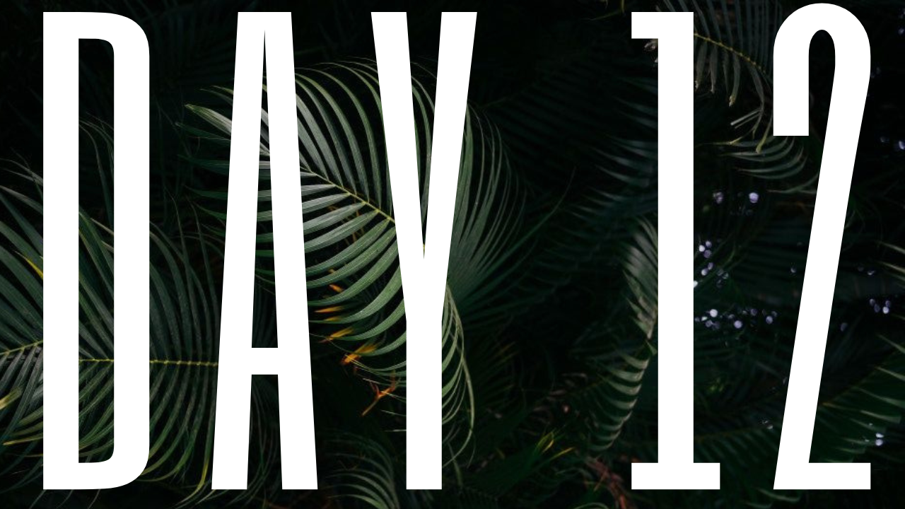 DAY 12