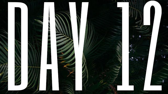 DAY 12
