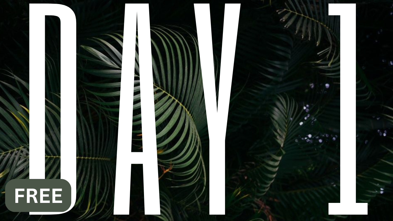 DAY 1