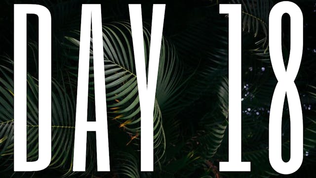 DAY 18