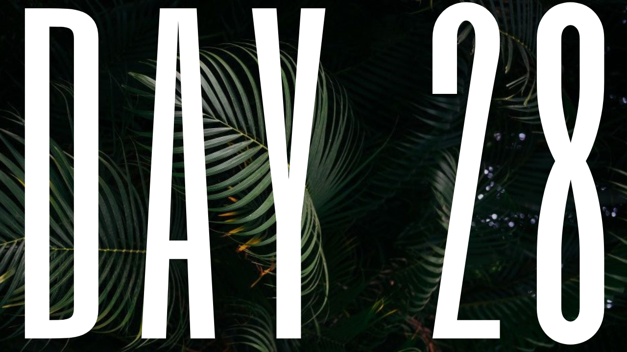 DAY 28