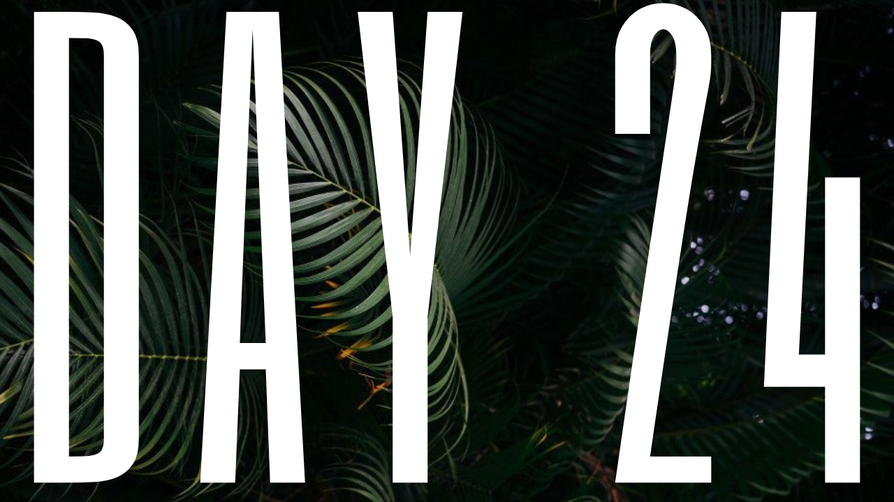 DAY 24