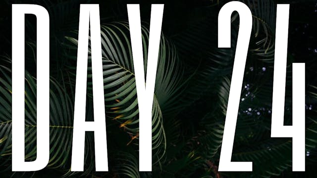 DAY 24