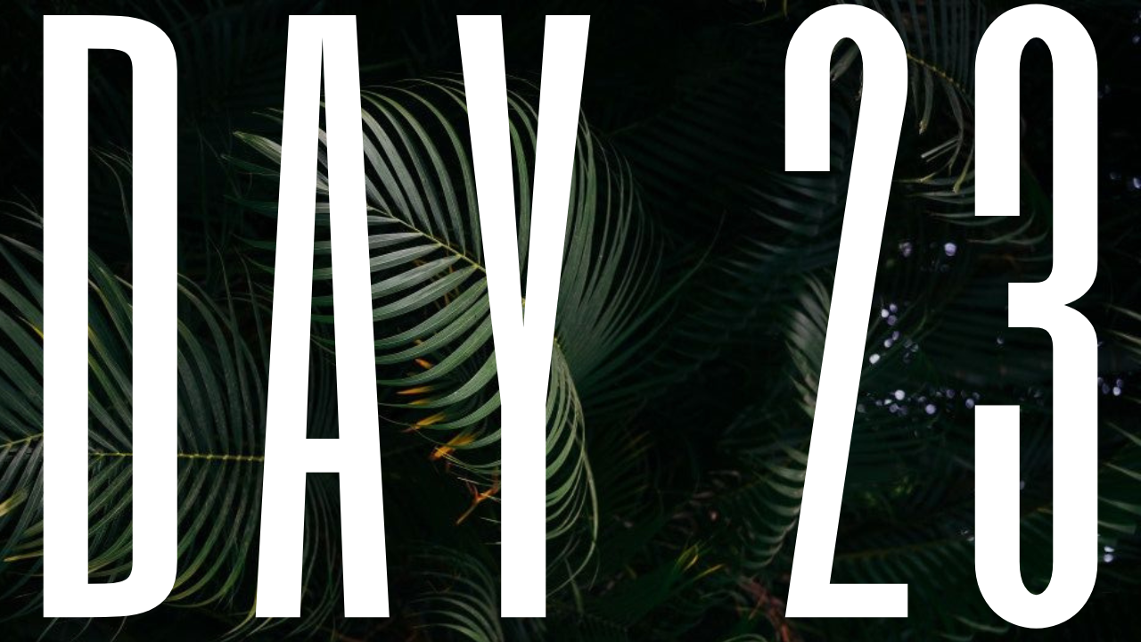 DAY 23
