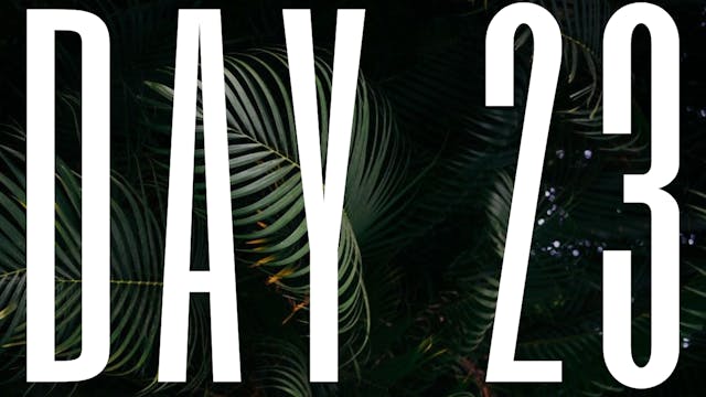 DAY 23