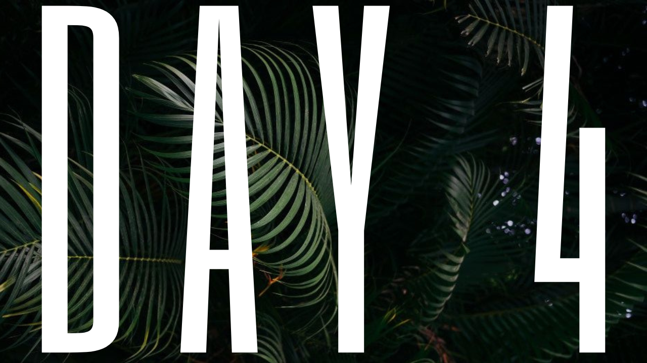 DAY 4