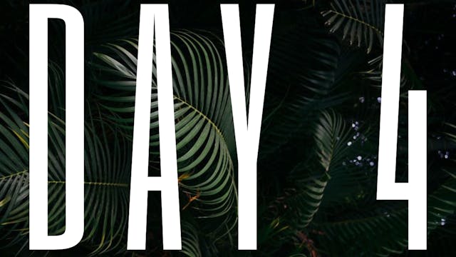 DAY 4