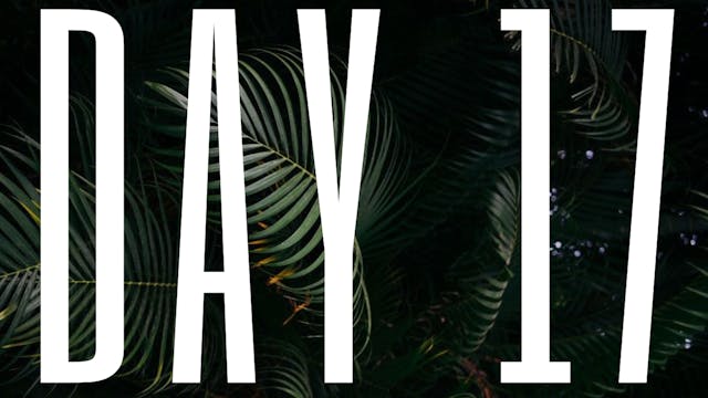 DAY 17