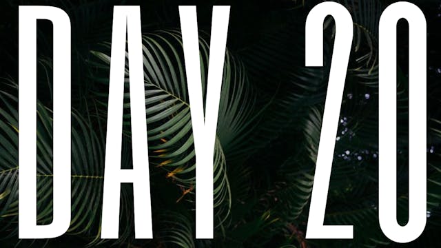 DAY 20 