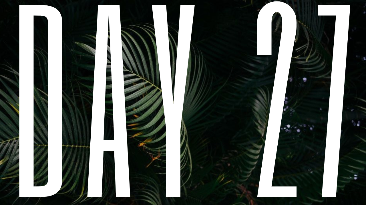 DAY 27