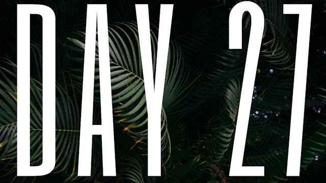 DAY 27