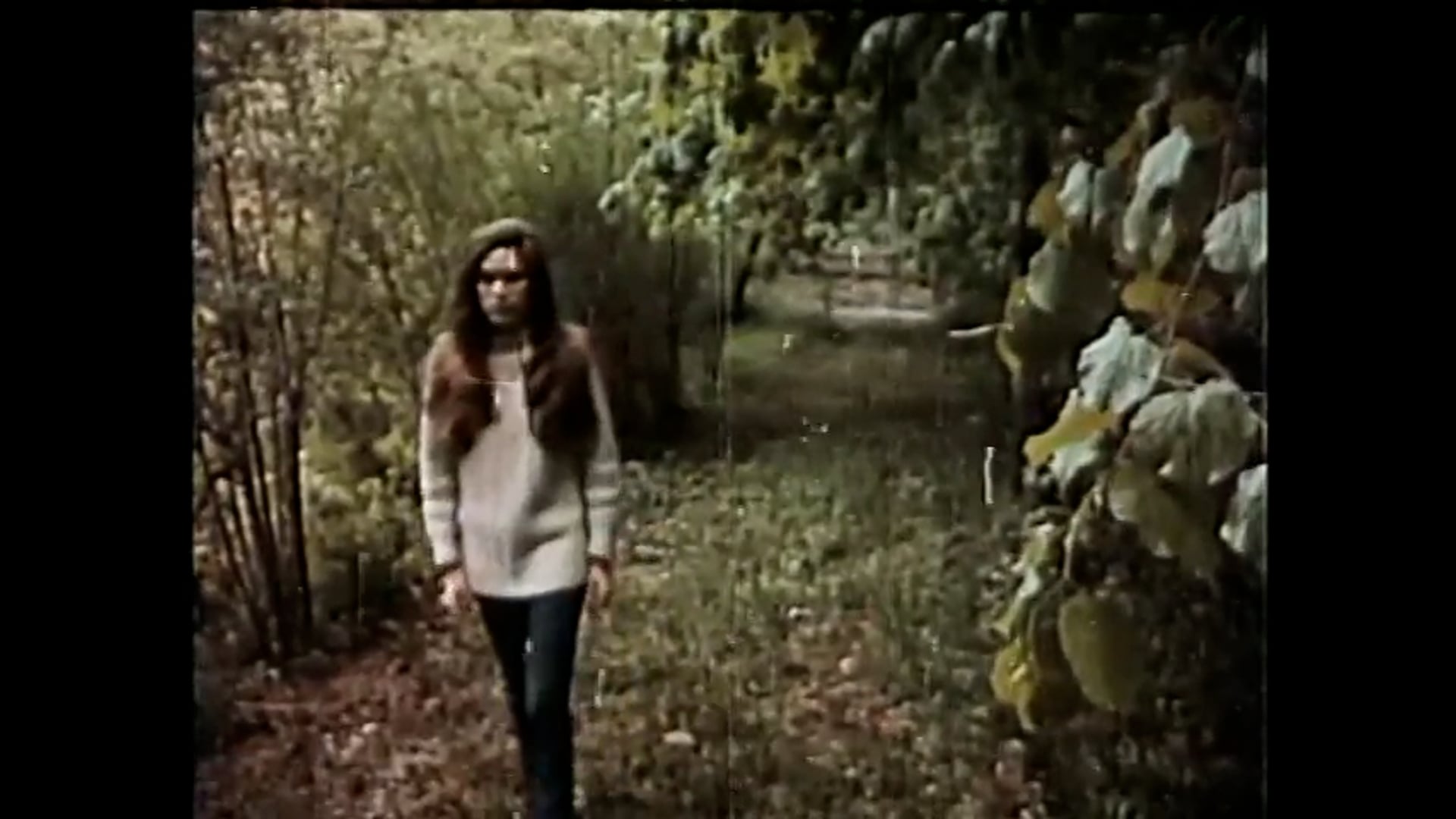 Blue Star TV Video