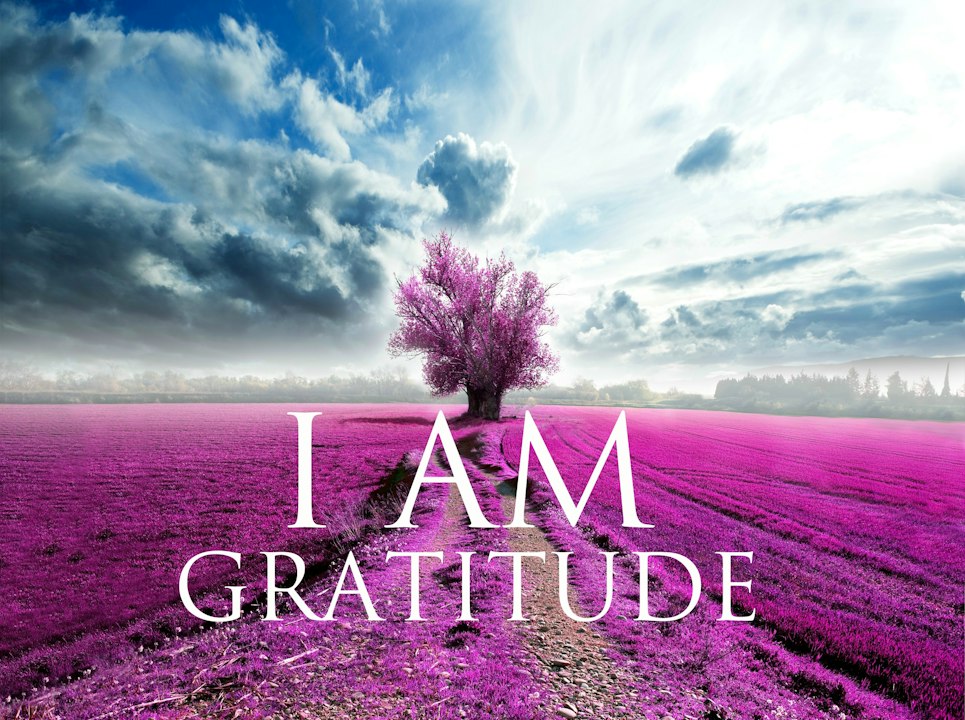 gratitude.jpg?fit=crop&fm=jpg&h=720&w=1280