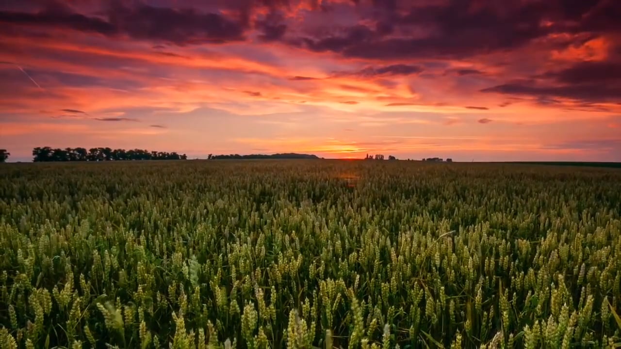 Affirmations for Re-aligning With Source - Higher Self & Inner Power