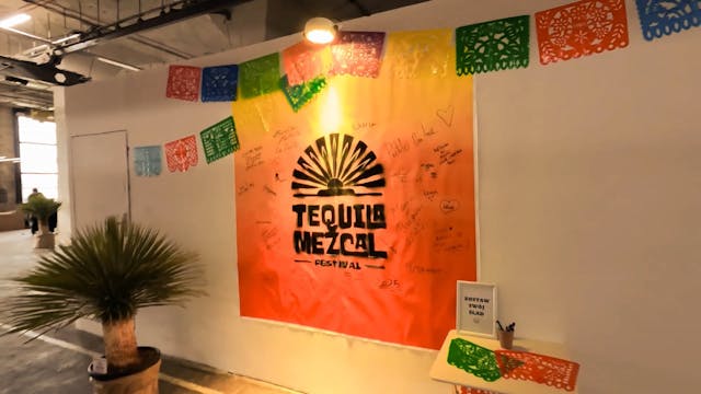 Lucha Libre Extravaganza - Tequila Me...