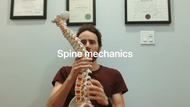 Spine mechanics