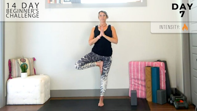 Adrienne: Welcome to Flow - Standing Balance