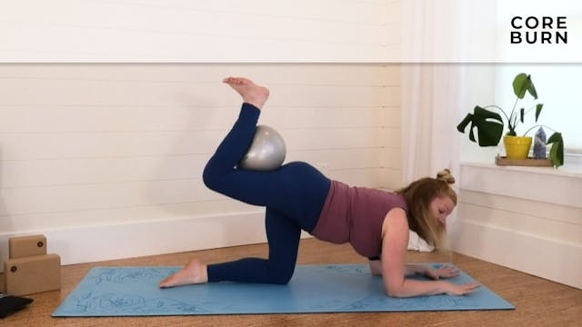 Suzie: On The Mat - Core Burn With Ball