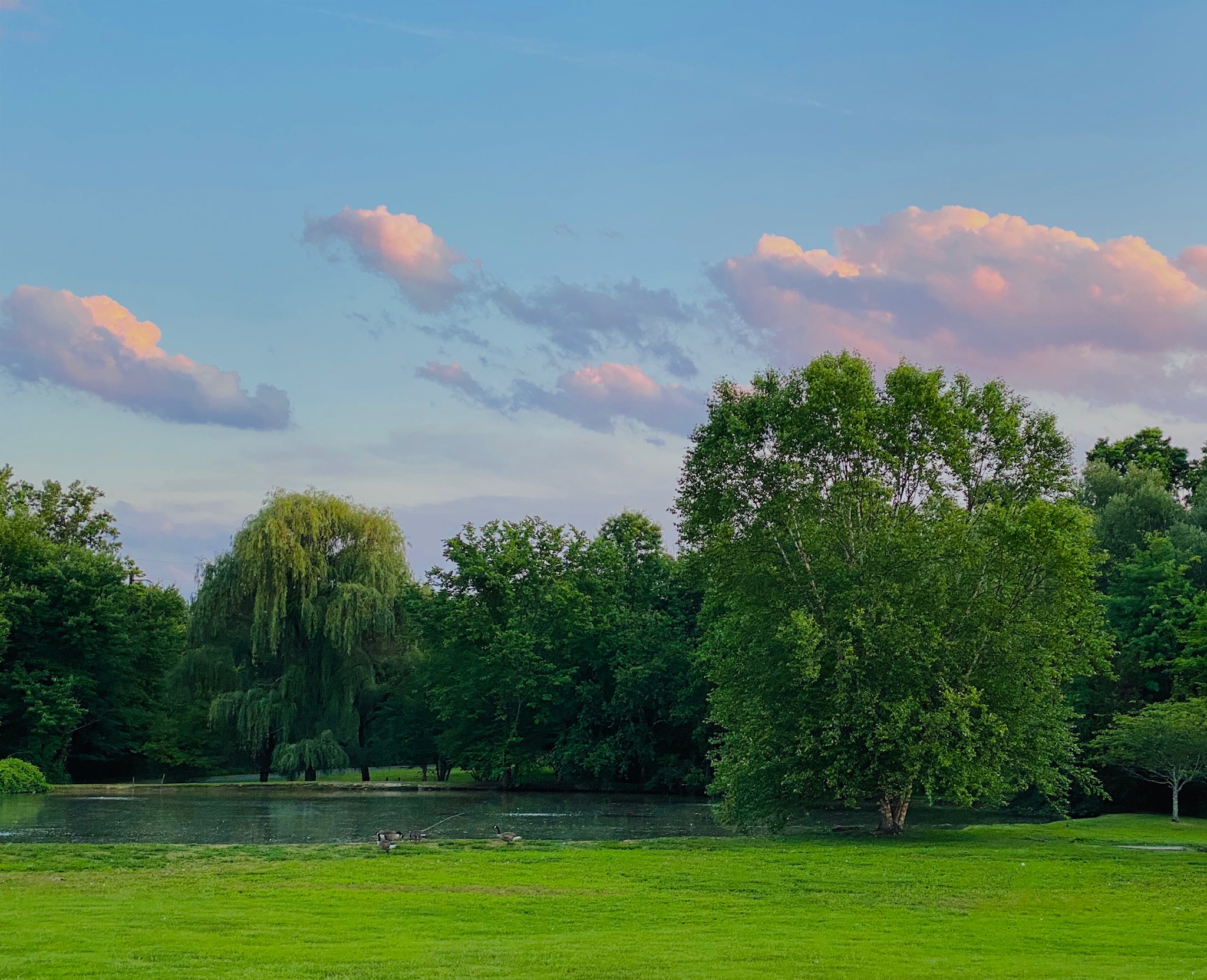 The Support Series: Diagnosis through Survivorship