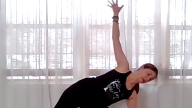 Alignment Based Vinyasa: Dynamic Action in the Arms  with Kelly