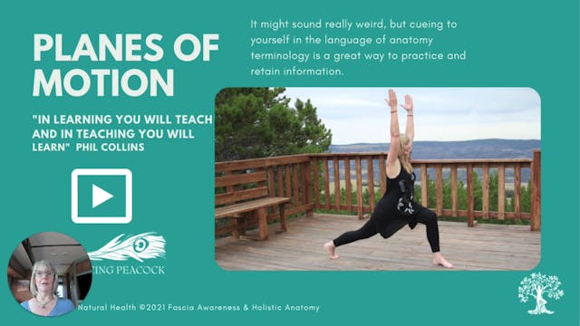 Chapter 1: Planes of Motion